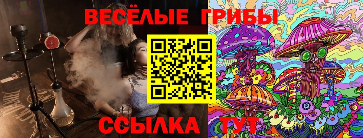 Йошкар-Ола  Галлюциногенные грибы мухоморы  Вход с VPN  Галлюциногенные грибы Magic Shrooms 