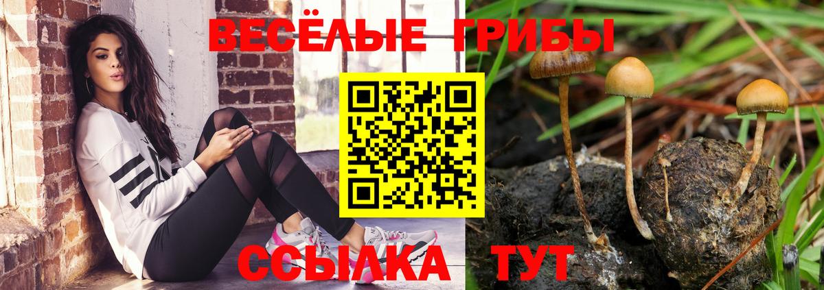 Псилоцибиновые грибы MAGIC MUSHROOMS Йошкар-Ола