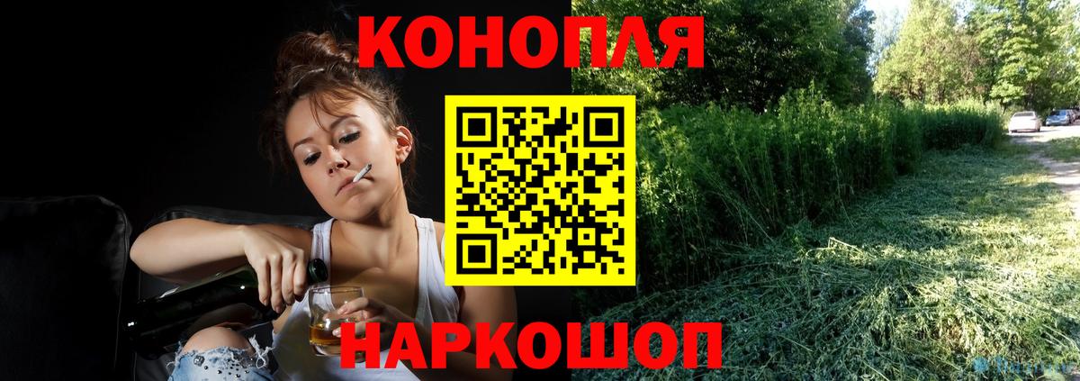 Бошки марихуана сатива Йошкар-Ола